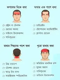 একটি তথ্যচিত্র যেখানে কপাল, মাথার এক পাশ, পিছন এবং পুরো মাথায় ব্যথার বিভিন্ন কারণগুলো বর্ণনা করা হয়েছে।