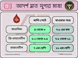 একটি তথ্যমূলক চার্ট যা খালি পেটে এবং খাওয়ার পর স্বাভাবিক, প্রি-ডায়াবেটিস এবং ডায়াবেটিস রোগীদের জন্য রক্তে শর্করার (mmol/L) আদর্শ মাত্রা প্রদর্শন করছে।