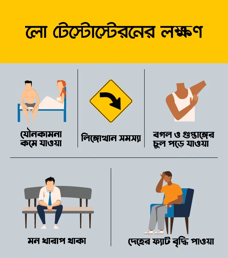 একটি তথ্যচিত্র যেখানে লো টেস্টোস্টেরনের ৫টি লক্ষণ দেখানো হয়েছে: যৌনকামনা কমে যাওয়া, লিঙ্গোত্থান সমস্যা, শরীরের লোম পড়ে যাওয়া, মন খারাপ থাকা এবং দেহের মেদ বৃদ্ধি পাওয়া।