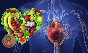 চিত্রে মানবদেহের হৃৎপিণ্ডের পাশে শাকসবজি ও ফলমূল দিয়ে গঠিত একটি হৃদয়ের আকৃতি এবং চিকিৎসায় ব্যবহৃত স্টেথোস্কোপ দেখানো হয়েছে।