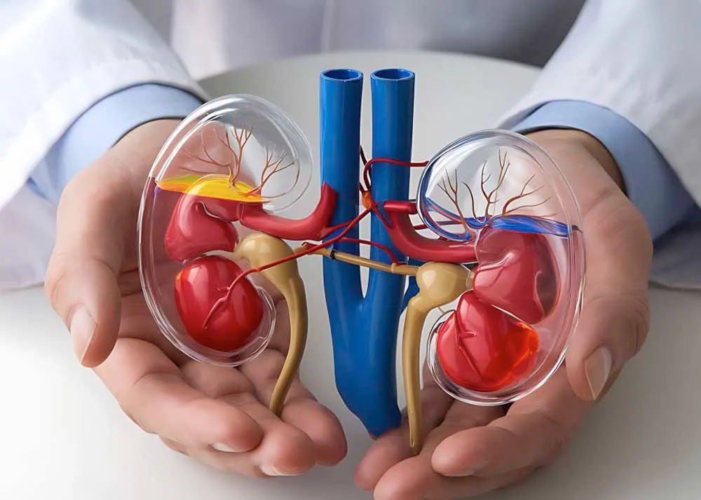Best Urology Doctor in Dhaka