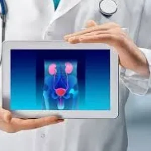 A medical professional in a white coat holding a digital tablet that displays a glowing blue anatomical scan of the human kidneys and bladder.