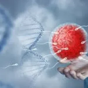 A digital conceptual image showing several sperm cells swimming toward a large red egg cell with a DNA double helix in the background.