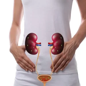An anatomical overlay of the kidneys and bladder on a person's torso, featuring green bacteria and suggesting a urinary tract infection.
